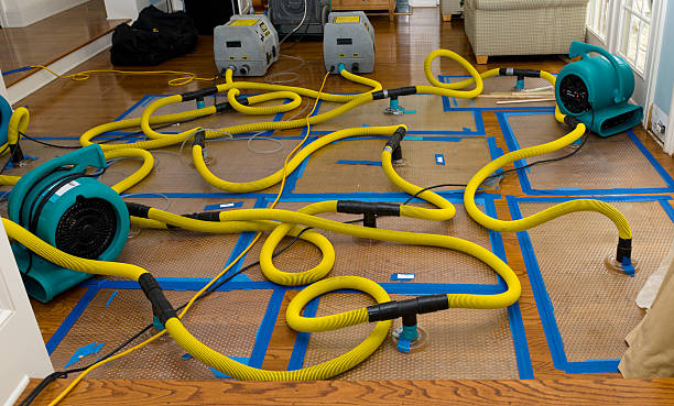 Professional Crawl Space Water Removal technician working in Snook, TX